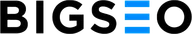BIGSEO logo