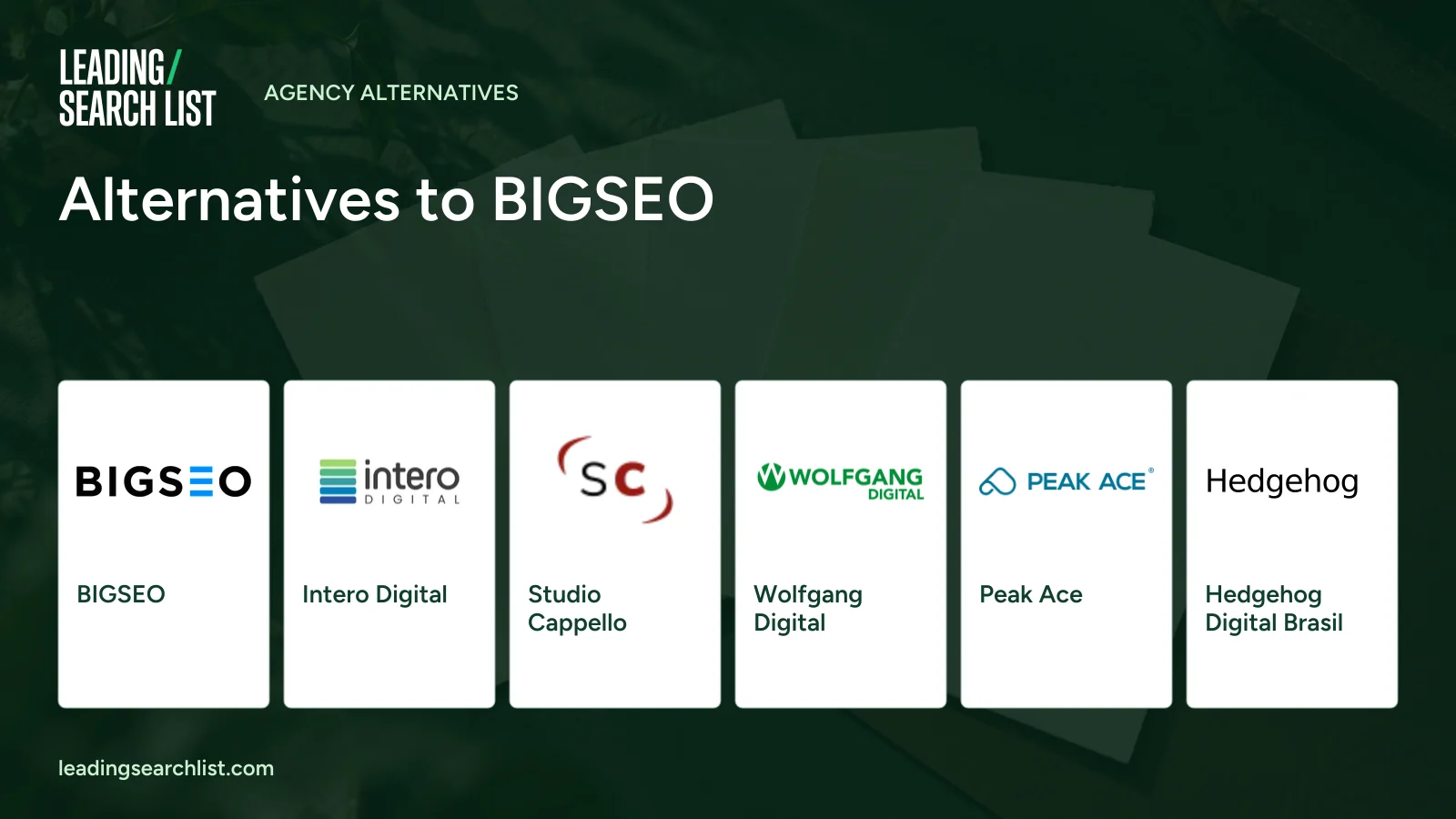 Alternatives to BIGSEO. Logos shown: BIGSEO, Intero Digital, Studio Cappello, Wolfgang Digital, Peak Ace, Hedgehog Digital Brasil. Leading Search List.