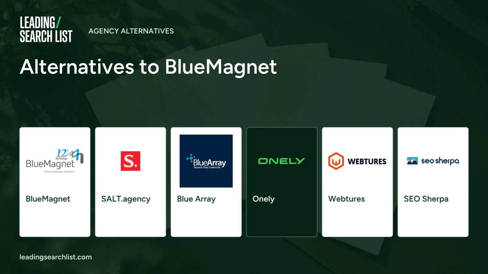 Alternatives to BlueMagnet. Logos shown: BlueMagnet, SALT.agency, Blue Array, Onely, Webtures, SEO Sherpa. Leading Search List.