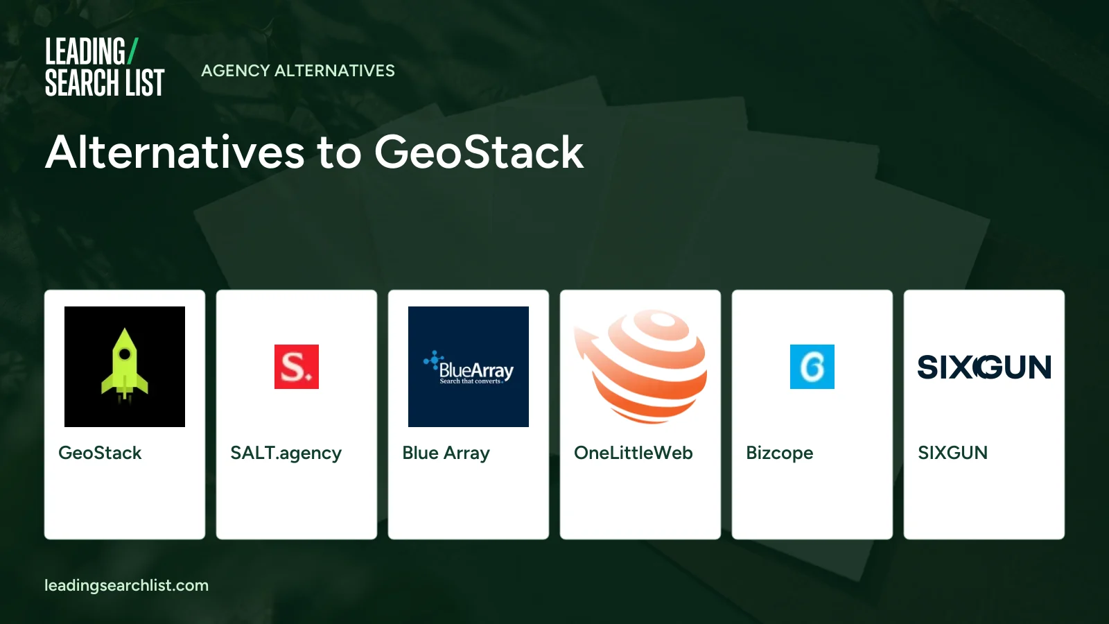 Alternatives to GeoStack. Logos shown: GeoStack, SALT.agency, Blue Array, OneLittleWeb, Bizcope, SIXGUN. Leading Search List.