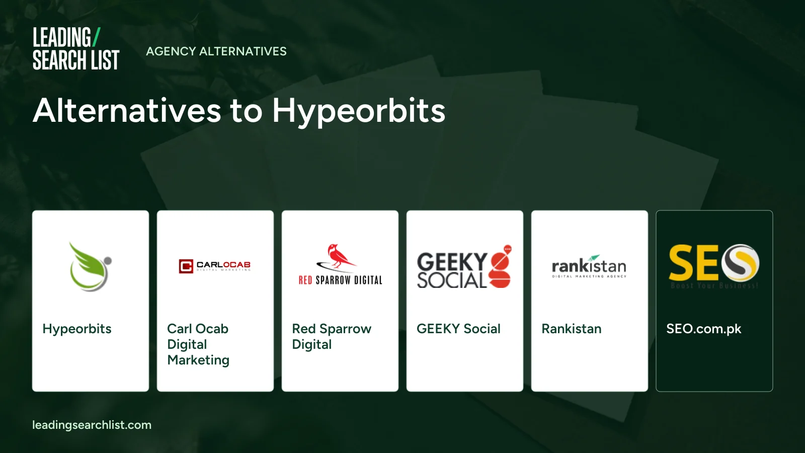 Alternatives to Hypeorbits. Logos shown: Hypeorbits, Carl Ocab Digital Marketing, Red Sparrow Digital, GEEKY Social, Rankistan, SEO.com.pk. Leading Search List.