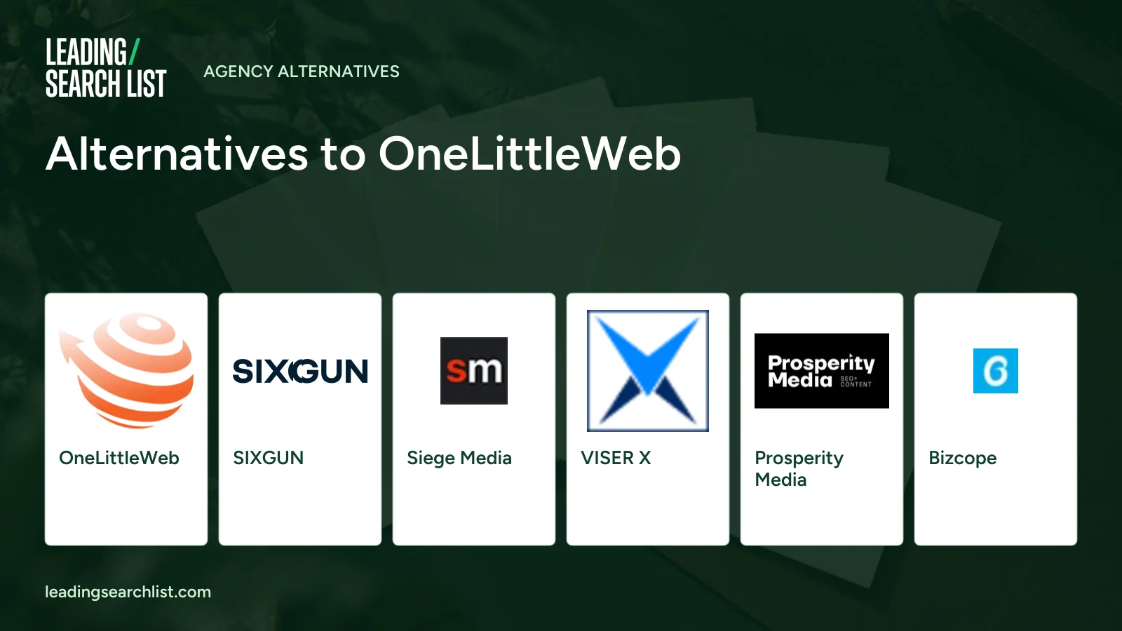 Alternatives to OneLittleWeb. Logos shown: OneLittleWeb, SIXGUN, Siege Media, VISER X, Prosperity Media, Bizcope. Leading Search List.
