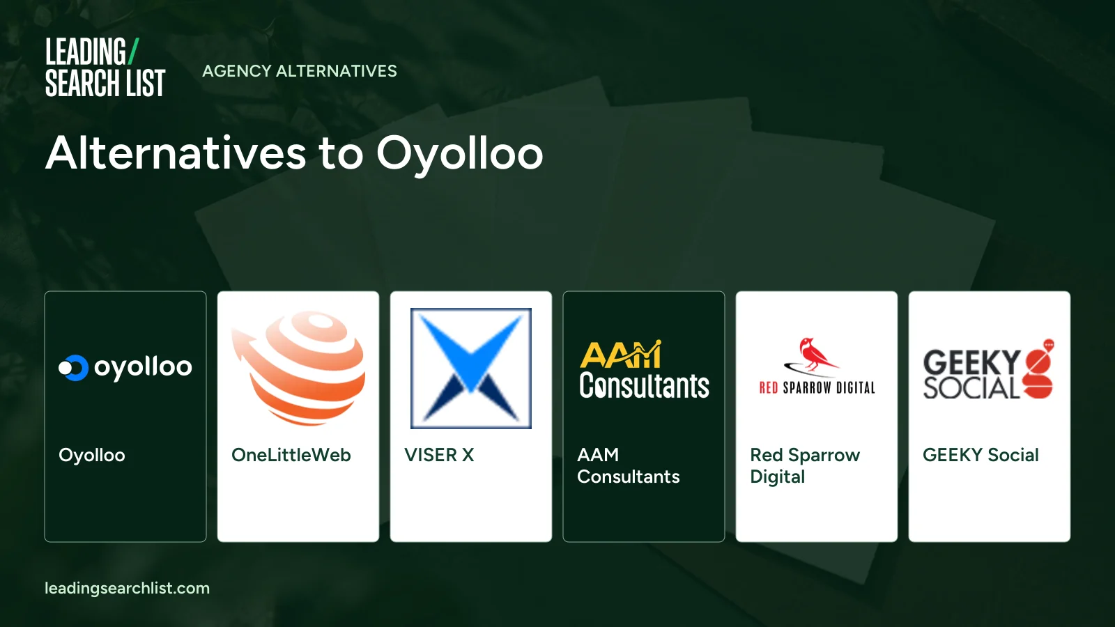 Alternatives to Oyolloo. Logos shown: Oyolloo, OneLittleWeb, VISER X, AAM Consultants, Red Sparrow Digital, GEEKY Social. Leading Search List.
