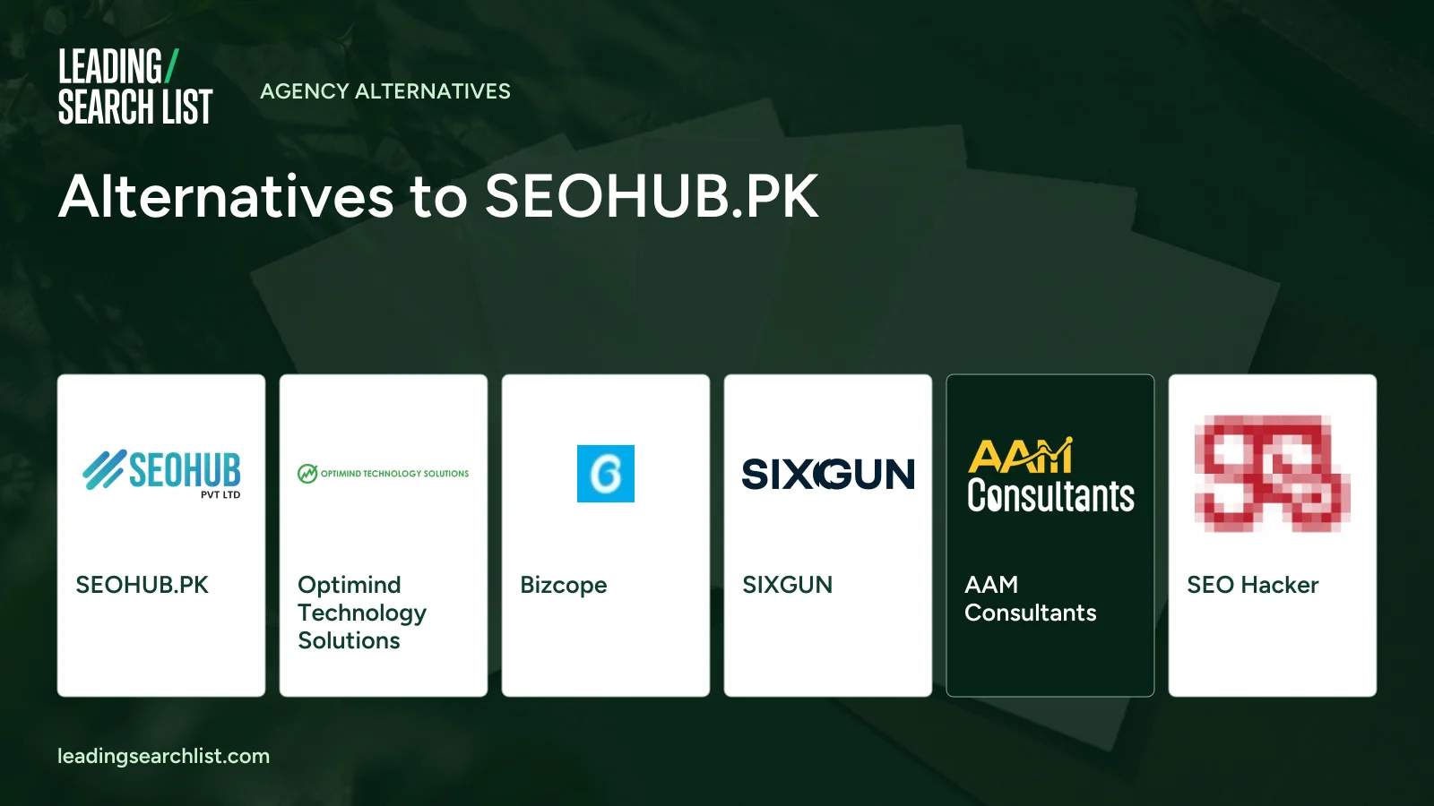 Alternatives to SEOHUB.PK. Logos shown: SEOHUB.PK, Optimind Technology Solutions, Bizcope, SIXGUN, AAM Consultants, SEO Hacker. Leading Search List.